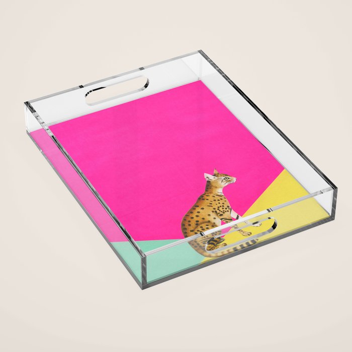 Big Cat Acrylic Tray Gallery Image 1