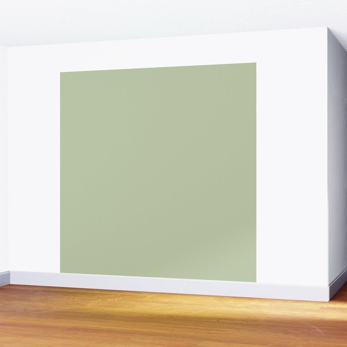 The Light Sage Green Solid Wall Mural Gallery Image 2