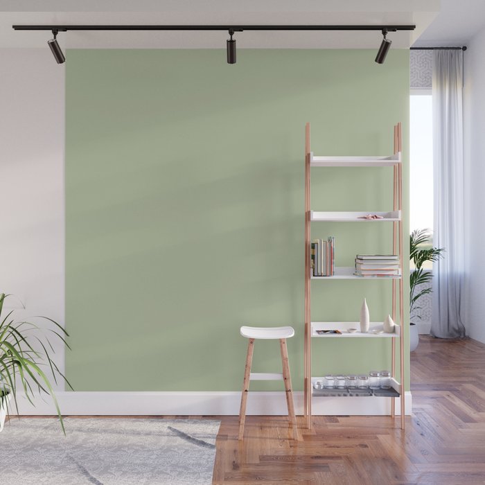 The Light Sage Green Solid Wall Mural Gallery Image 1