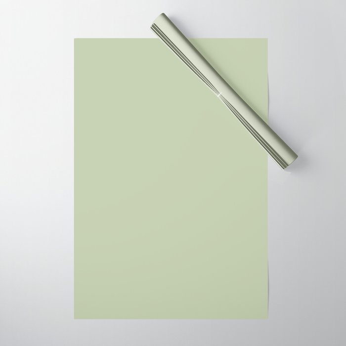 The Light Sage Green Solid Wrapping Paper Gallery Image 1
