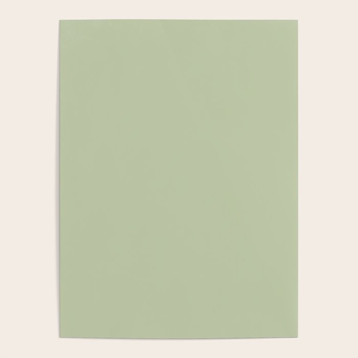 The Light Sage Green Solid Poster Gallery Image 1