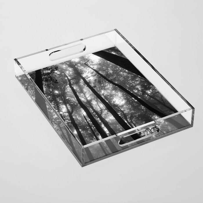 Smoky Mountain National Park Foggy Trees Acrylic Tray Gallery Image 1