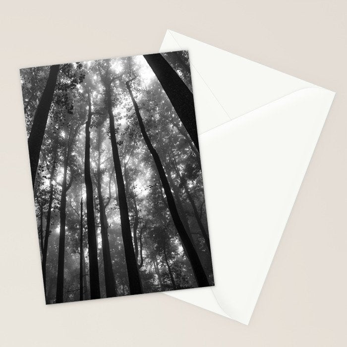Smoky Mountain National Park Foggy Trees Stationery Card Gallery Image 2