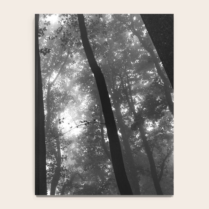 Smoky Mountain National Park Foggy Trees Notebook Gallery Image 4