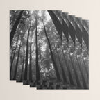 Smoky Mountain National Park Foggy Trees Wrapping Paper Gallery Image 3