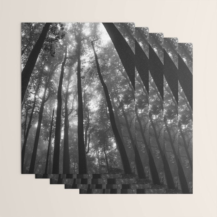Smoky Mountain National Park Foggy Trees Wrapping Paper Gallery Image 3