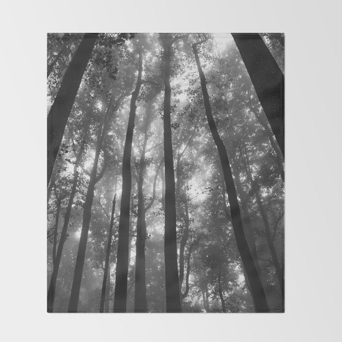 Smoky Mountain National Park Foggy Trees Throw Blanket Gallery Image 2