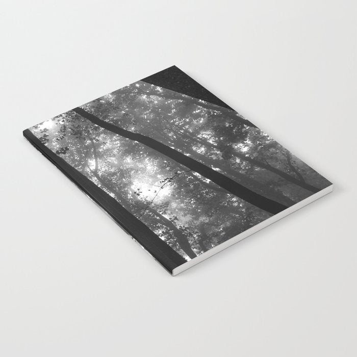Smoky Mountain National Park Foggy Trees Notebook Gallery Image 2