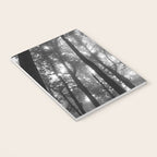 Smoky Mountain National Park Foggy Trees Notebook Gallery Image 3