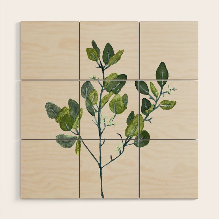 Eucalyptus Branch Wood Wall Art Gallery Image 1