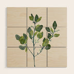 Eucalyptus Branch Wood Wall Art Gallery Image 1