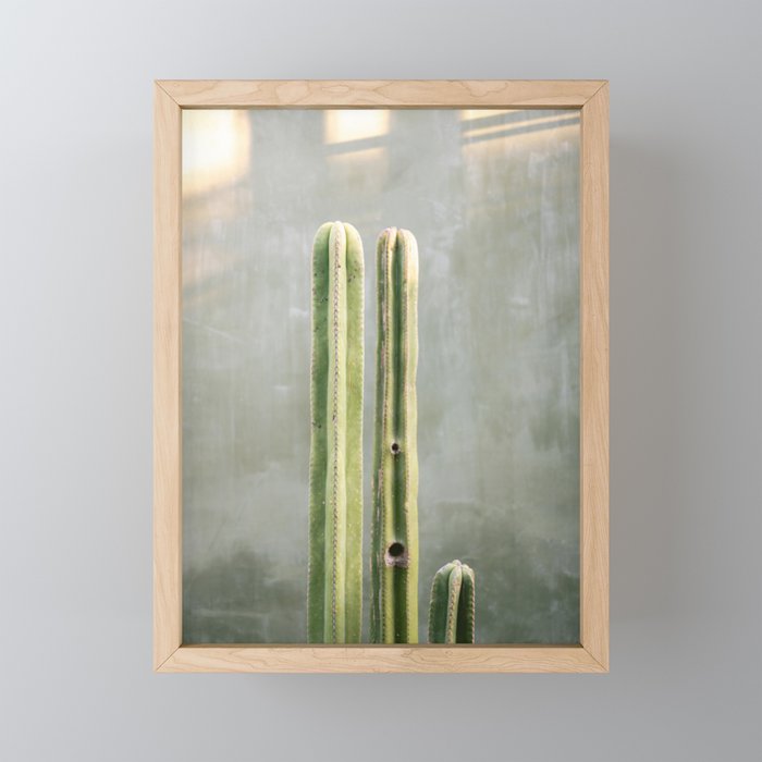 Cacti greens | Oaxaca Mexico travel photography Mini Art Print Gallery Image 1