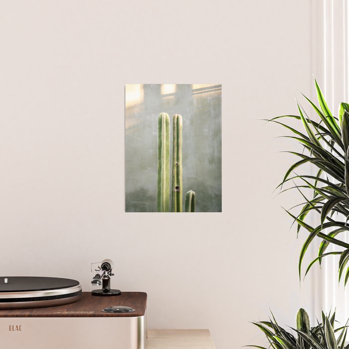 Cacti greens | Oaxaca Mexico travel photography Poster Gallery Image 2