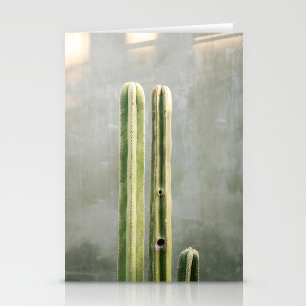 Cacti greens | Oaxaca Mexico travel photography Stationery Card Gallery Image 1