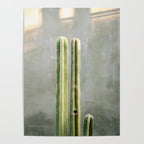 Cacti greens | Oaxaca Mexico travel photography Poster Gallery Image 4