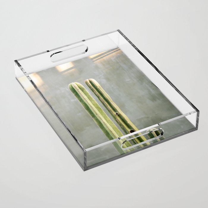 Cacti greens | Oaxaca Mexico travel photography Acrylic Tray Gallery Image 1