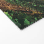 Woodland Landscape Welcome Mat Gallery Image 2
