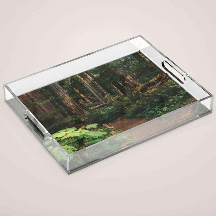 Woodland Landscape Acrylic Tray Gallery Image 1