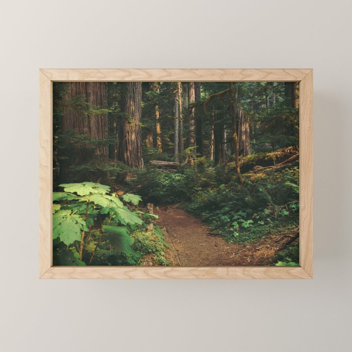 Woodland Landscape Mini Art Print Gallery Image 1