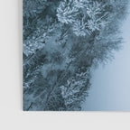 Man lying in the snow on a frozen lake in a winter forest - Landscape Photography Poster Gallery Image 3