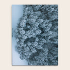 Man lying in the snow on a frozen lake in a winter forest - Landscape Photography Notebook Gallery Image 4