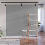 Quick Silver Gray Solid Color Plain Neutral Earth Tone  Wall Mural Gallery Image 1