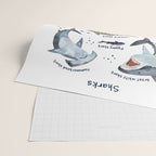 Sharks Wrapping Paper Gallery Image 2