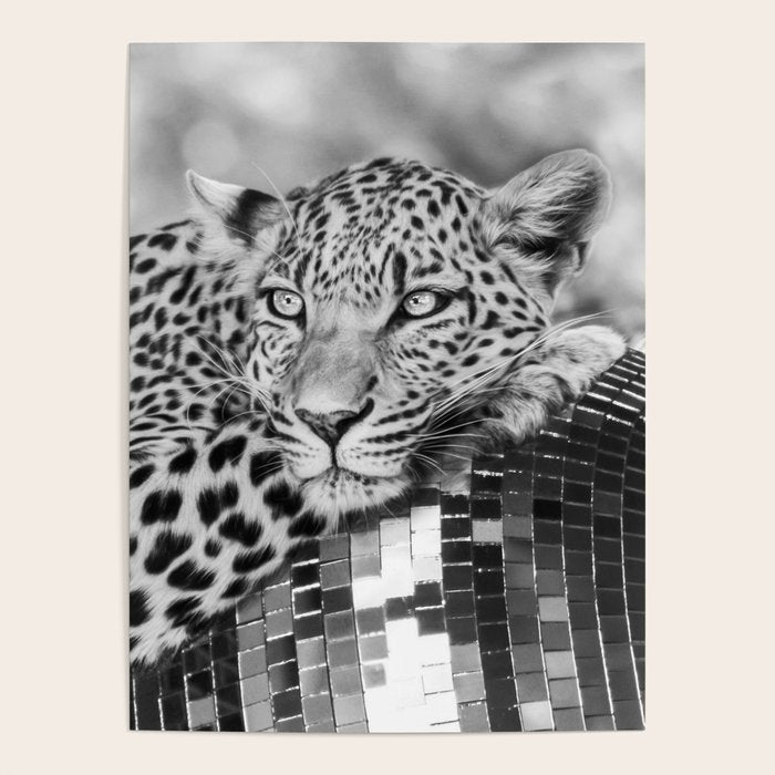 Disco Leopard Poster Gallery Image 4