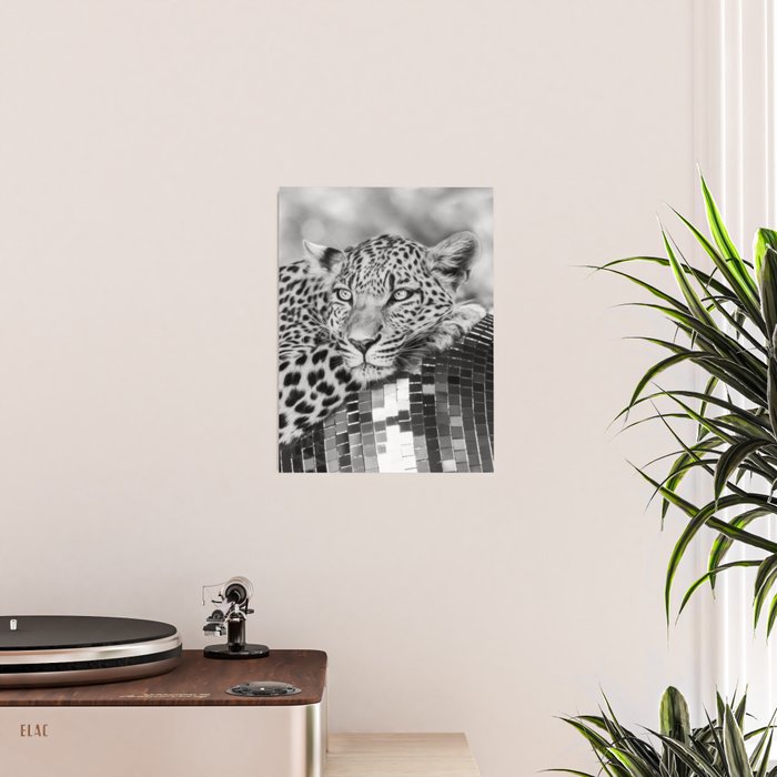 Disco Leopard Poster Gallery Image 2