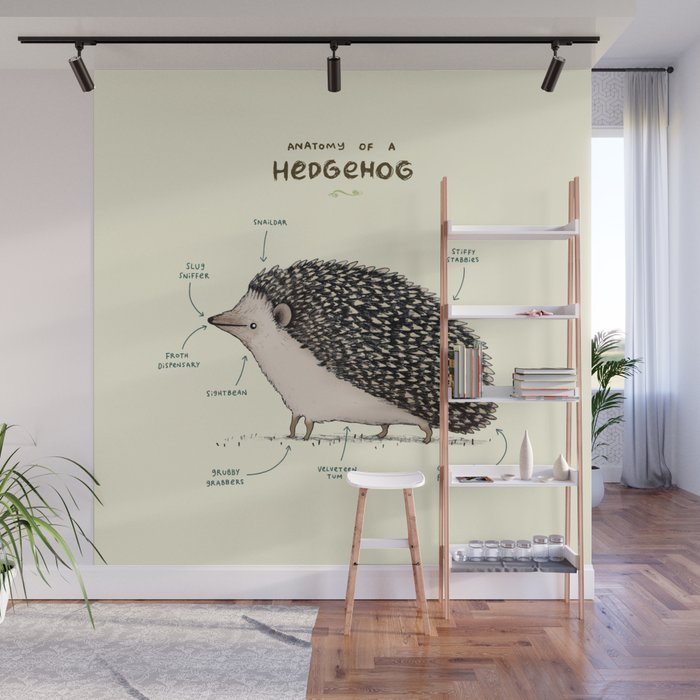 Anatomy of a Hedgehog Wall Mural Gallery Image 1