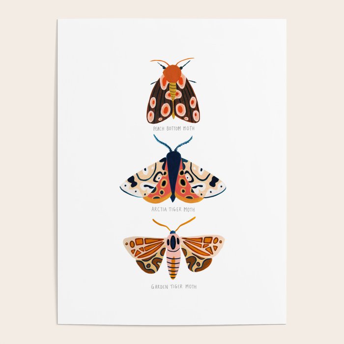 Moth Trio Poster Gallery Image 4
