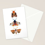 Moth Trio Stationery Card Gallery Image 2