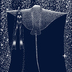 Star Collector And Diver Ver 2.0 Coffee Mug Gallery Image 2