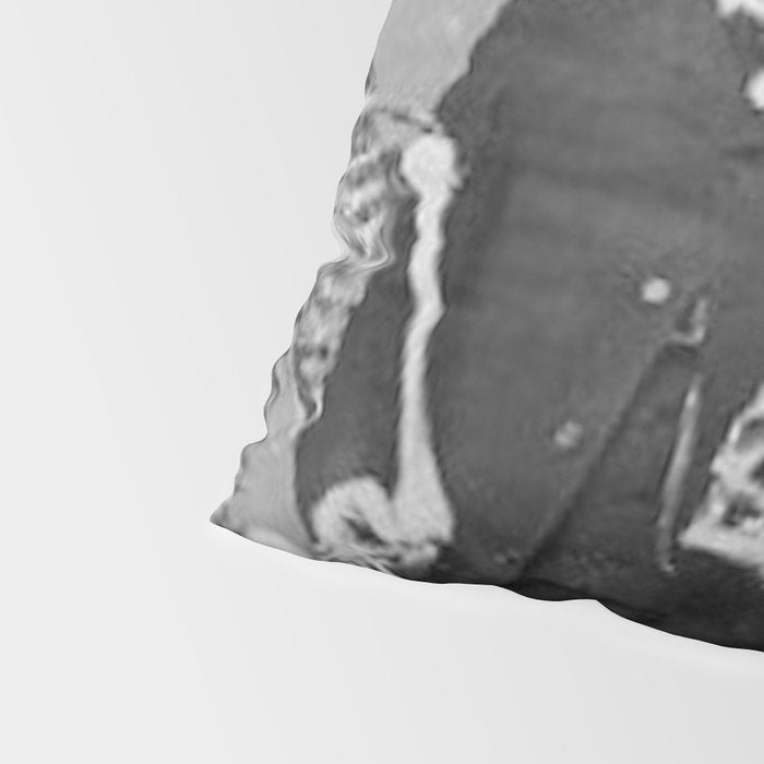 Edgar Allan Poe with Skull and Skeleton macabre black and white photograph Pillow Sham Gallery Image 4