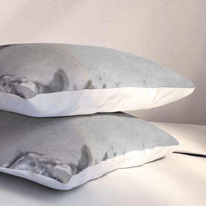 Edgar Allan Poe with Skull and Skeleton macabre black and white photograph Pillow Sham Gallery Image 3