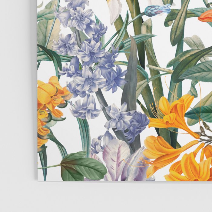Vintage Garden IX Poster Gallery Image 3