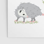 Opossums and Daisies Poster Gallery Image 3