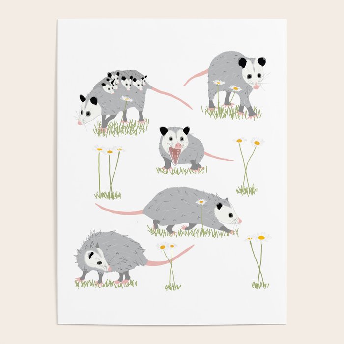 Opossums and Daisies Poster Gallery Image 4