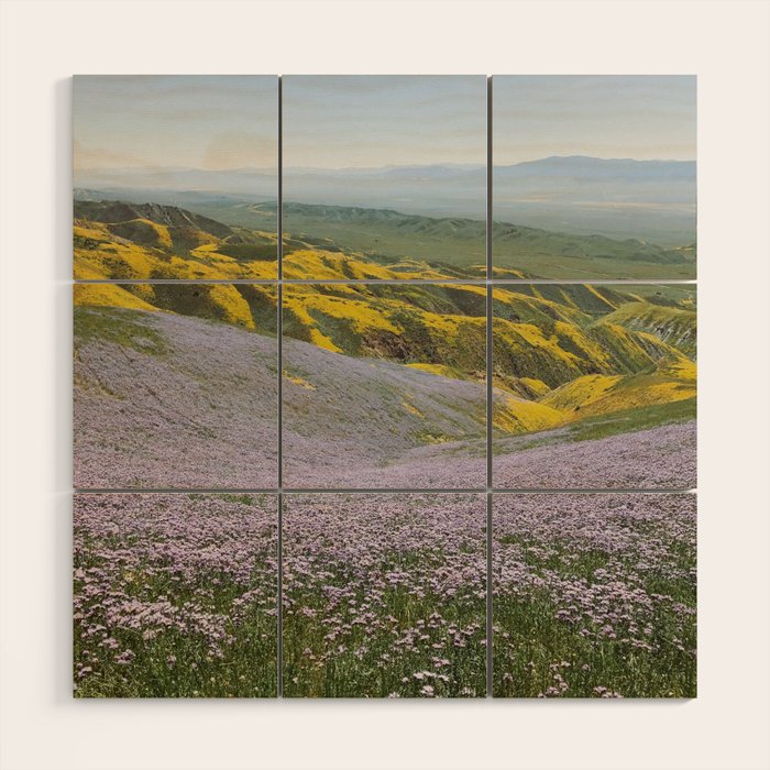 California Wildflowers Wood Wall Art Gallery Image 1