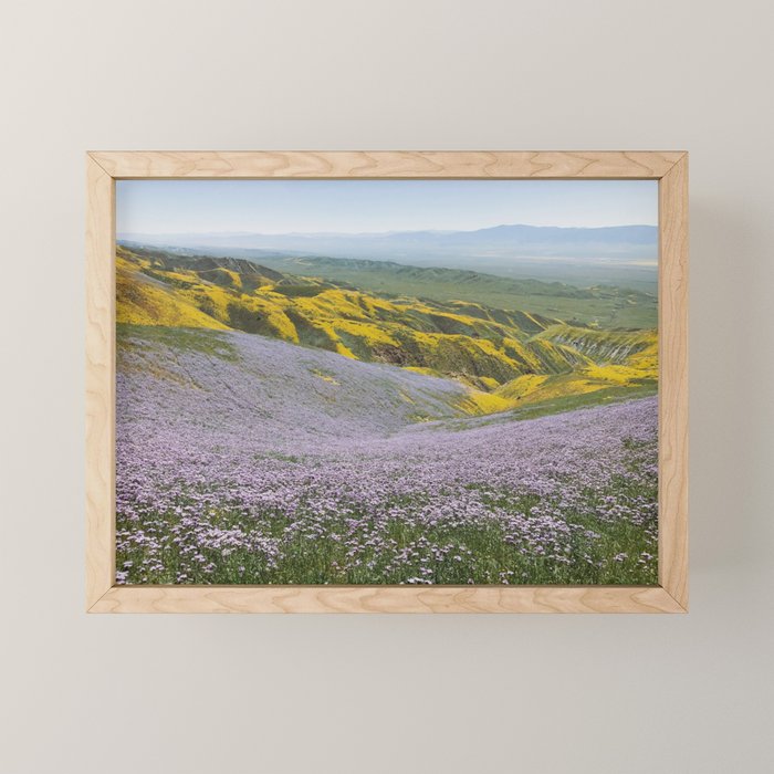 California Wildflowers Mini Art Print Gallery Image 1