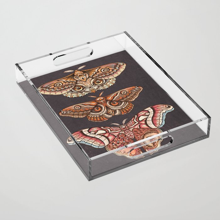 Moth Wings IV Acrylic Tray Gallery Image 1