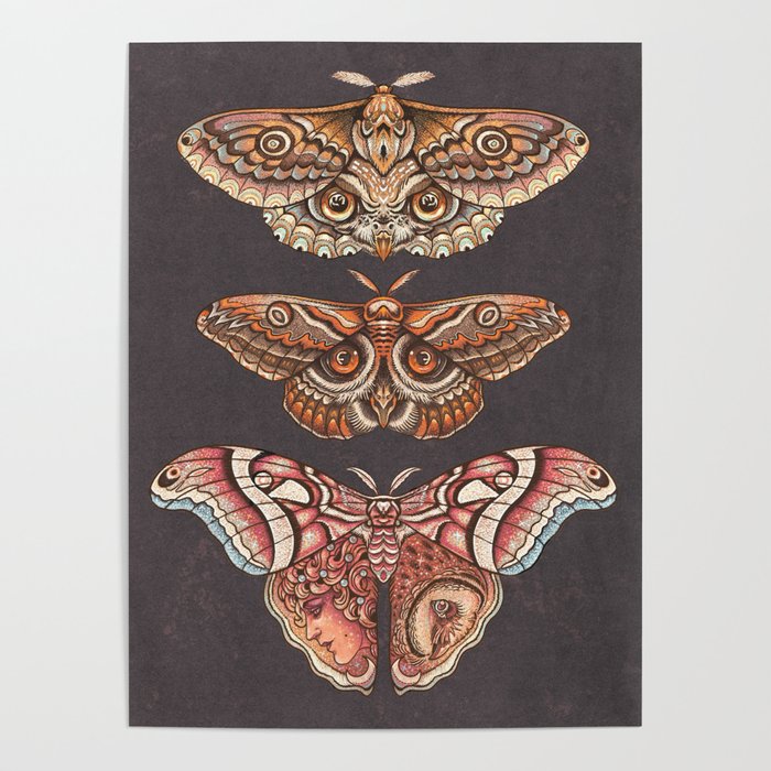 Moth Wings IV Poster Gallery Image 1