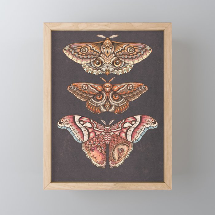 Moth Wings IV Mini Art Print Gallery Image 1