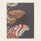 Moth Wings IV Notebook Gallery Image 4