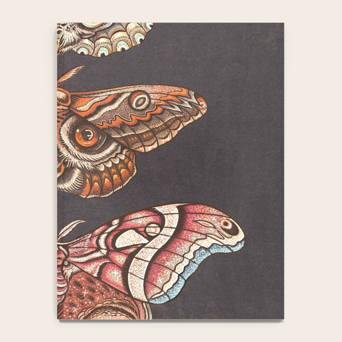 Moth Wings IV Notebook Gallery Image 4