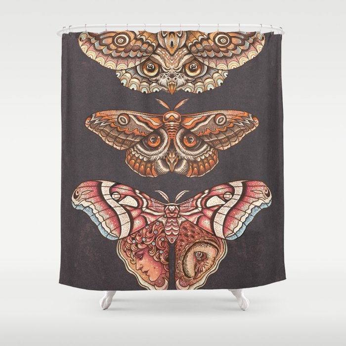 Moth Wings IV Shower Curtain Gallery Image 1