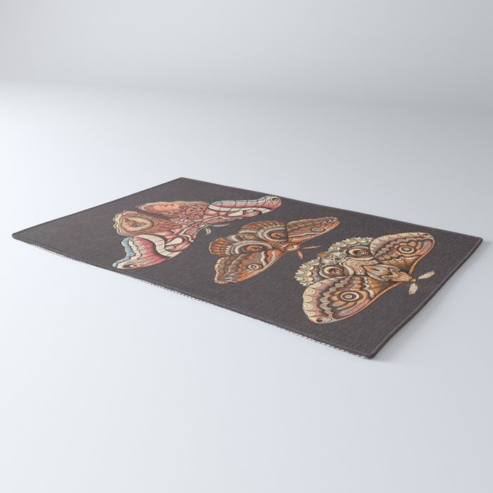 Moth Wings IV Rug Gallery Image 3