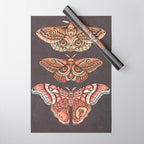 Moth Wings IV Wrapping Paper Gallery Image 1