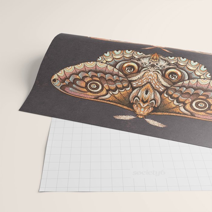 Moth Wings IV Wrapping Paper Gallery Image 2