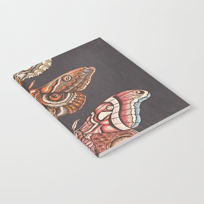 Moth Wings IV Notebook Gallery Image 1